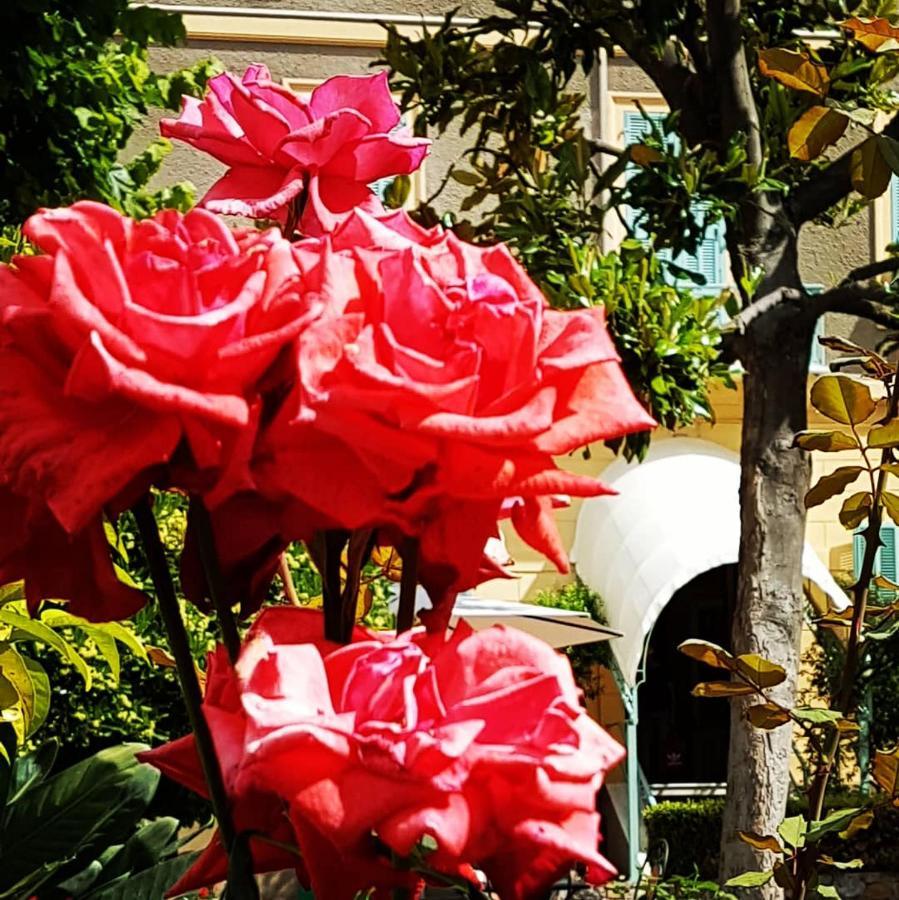 Hotel Villa Sophia ซานเรโม ภายนอก รูปภาพ