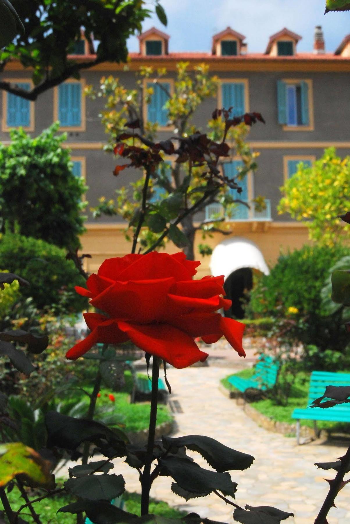 Hotel Villa Sophia ซานเรโม ภายนอก รูปภาพ